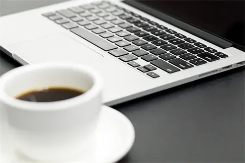 鹏的英文特殊含义